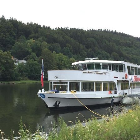 Natur und Neckarblick bei Heidelberg Hirschhorn Exterior foto