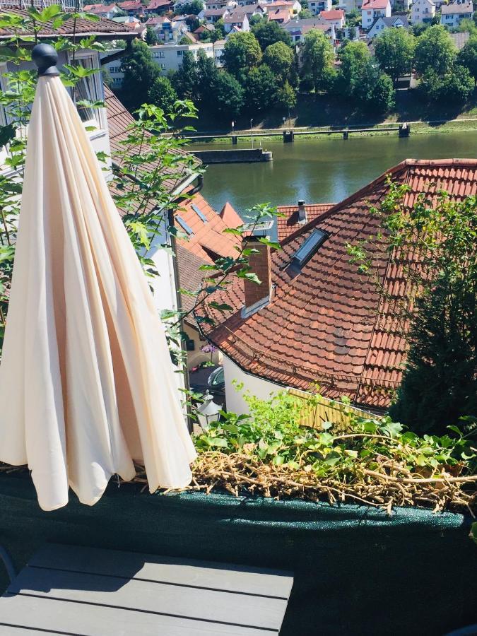 Natur und Neckarblick bei Heidelberg Hirschhorn Exterior foto