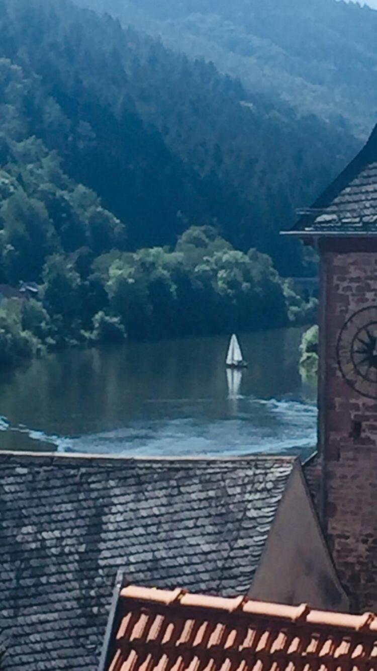 Natur und Neckarblick bei Heidelberg Hirschhorn Exterior foto