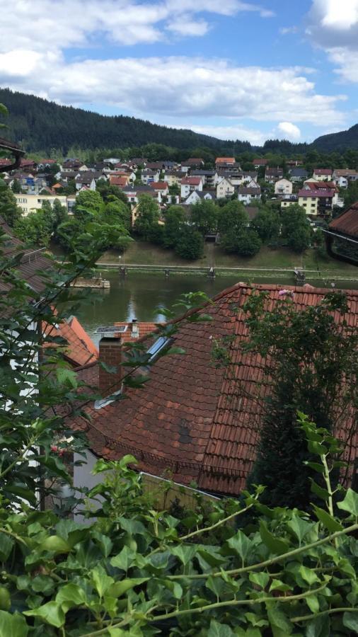 Natur und Neckarblick bei Heidelberg Hirschhorn Exterior foto