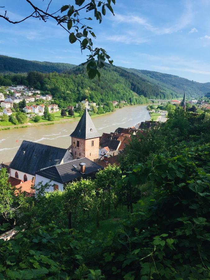 Natur und Neckarblick bei Heidelberg Hirschhorn Exterior foto