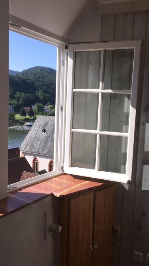 Natur und Neckarblick bei Heidelberg Hirschhorn Exterior foto