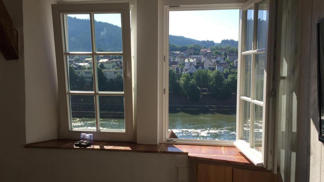 Natur und Neckarblick bei Heidelberg Hirschhorn Exterior foto
