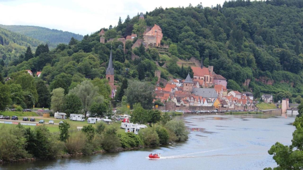 Natur und Neckarblick bei Heidelberg Hirschhorn Exterior foto