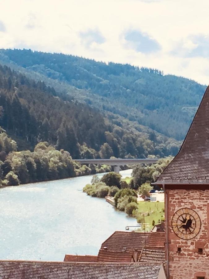 Natur und Neckarblick bei Heidelberg Hirschhorn Exterior foto