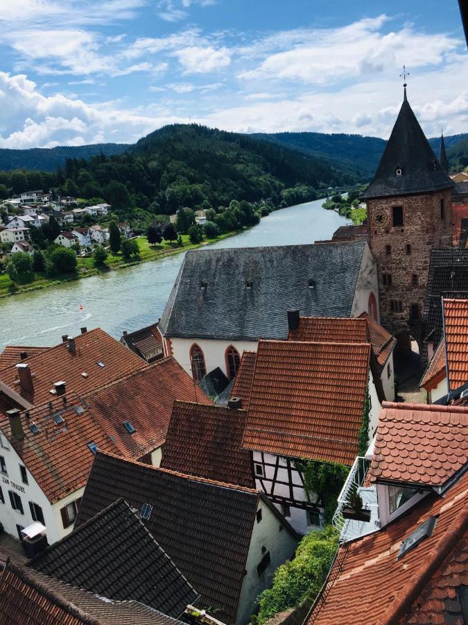 Natur und Neckarblick bei Heidelberg Hirschhorn Exterior foto