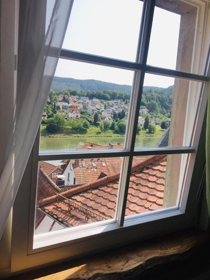 Natur und Neckarblick bei Heidelberg Hirschhorn Exterior foto