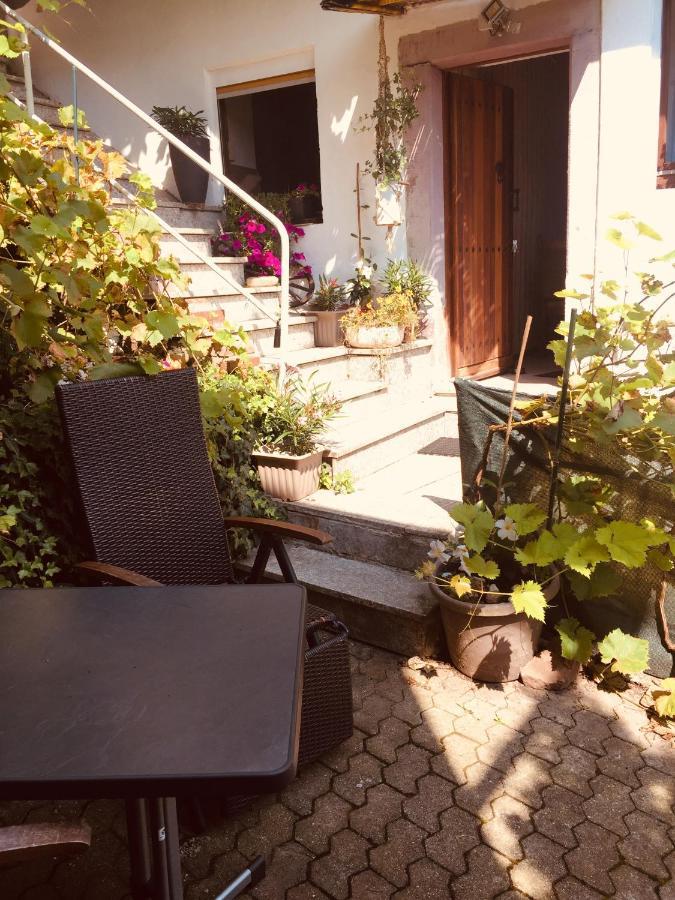 Natur und Neckarblick bei Heidelberg Hirschhorn Exterior foto