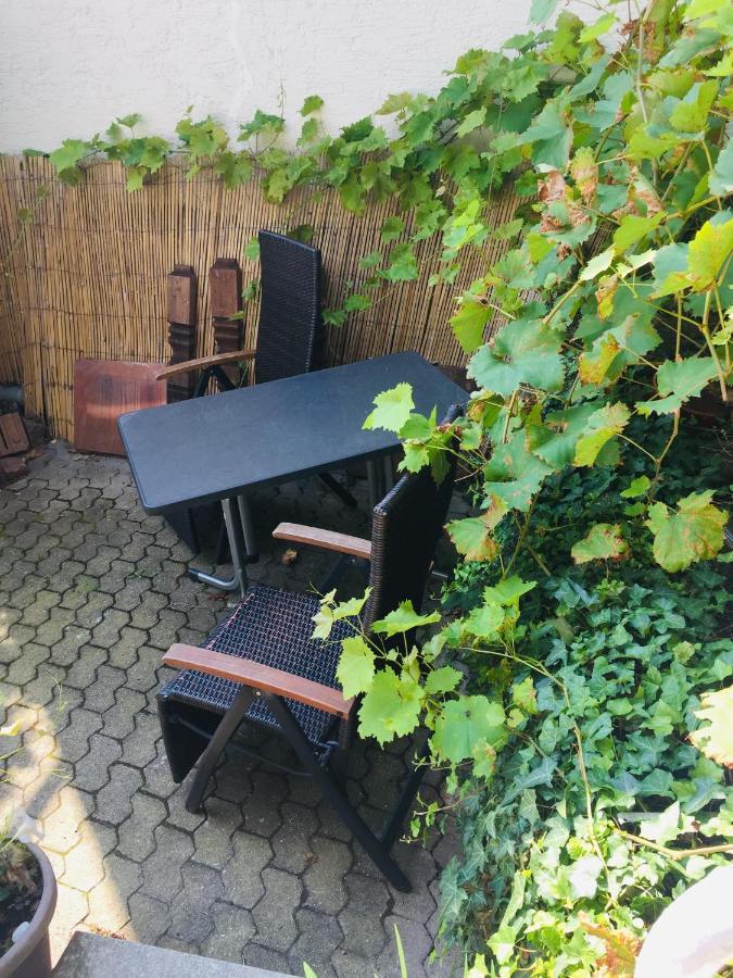 Natur und Neckarblick bei Heidelberg Hirschhorn Exterior foto