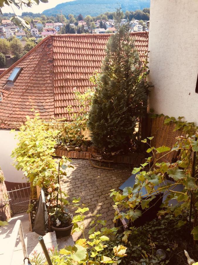 Natur und Neckarblick bei Heidelberg Hirschhorn Exterior foto