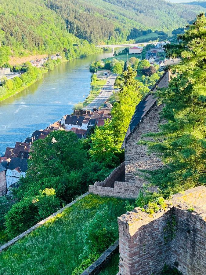 Natur und Neckarblick bei Heidelberg Hirschhorn Exterior foto