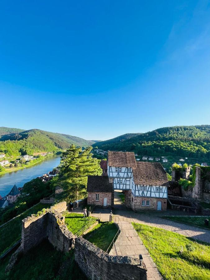 Natur und Neckarblick bei Heidelberg Hirschhorn Exterior foto