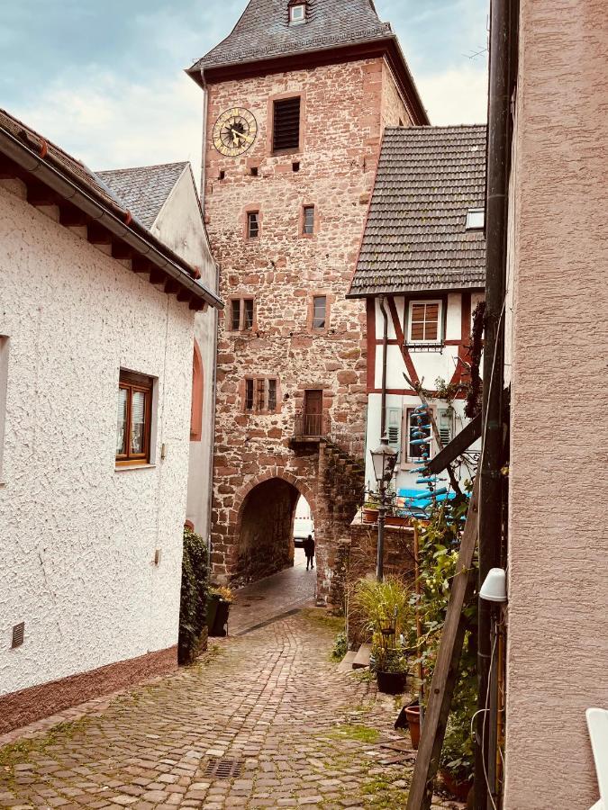Natur und Neckarblick bei Heidelberg Hirschhorn Exterior foto