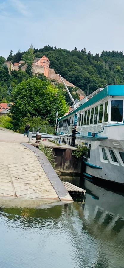 Natur und Neckarblick bei Heidelberg Hirschhorn Exterior foto