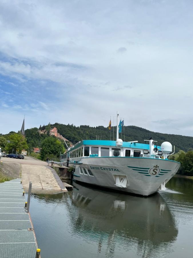 Natur und Neckarblick bei Heidelberg Hirschhorn Exterior foto