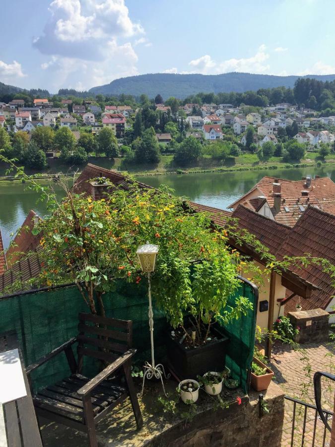 Natur und Neckarblick bei Heidelberg Hirschhorn Exterior foto