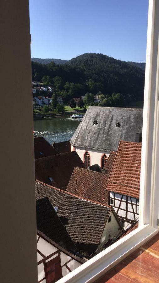 Natur und Neckarblick bei Heidelberg Hirschhorn Exterior foto