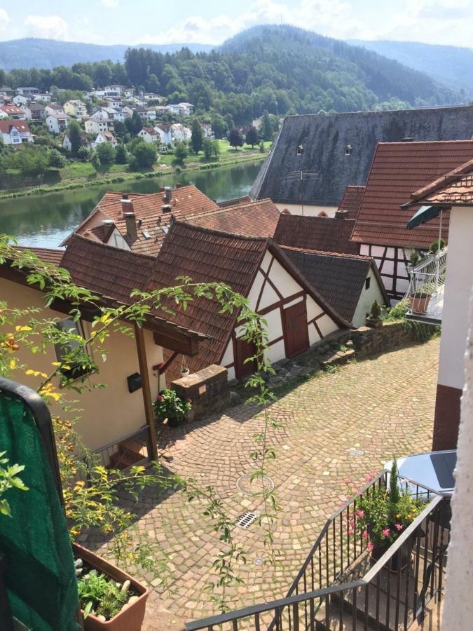 Natur und Neckarblick bei Heidelberg Hirschhorn Exterior foto